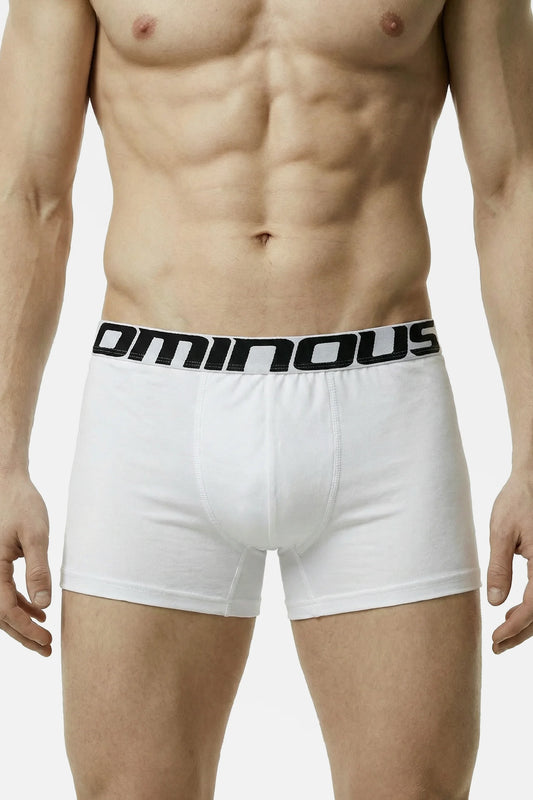 White boxer briefs with a black brand logo on a plain background